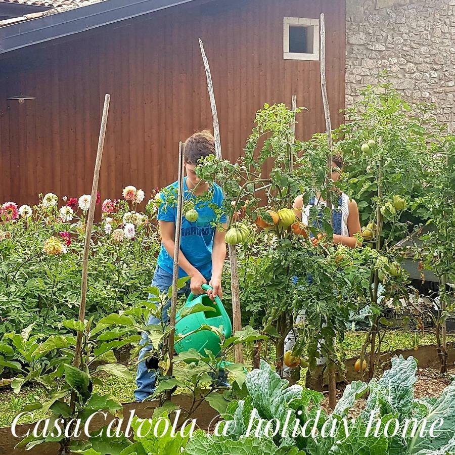 Casa Calvola Holiday Home Tenno Extérieur photo